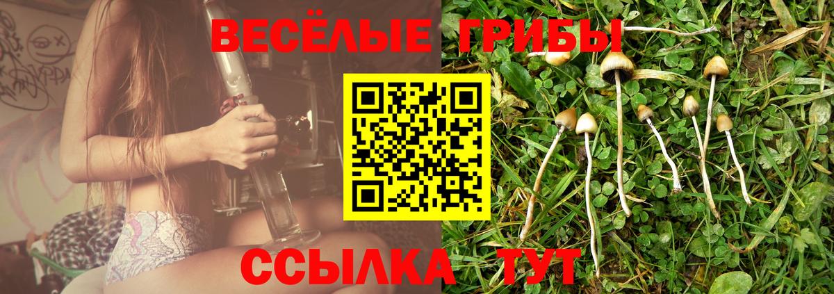 Псилоцибиновые грибы Cubensis  Вход с VPN  Нижневартовск 
