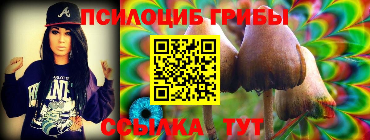 Галлюциногенные грибы Psilocybine cubensis Нижневартовск